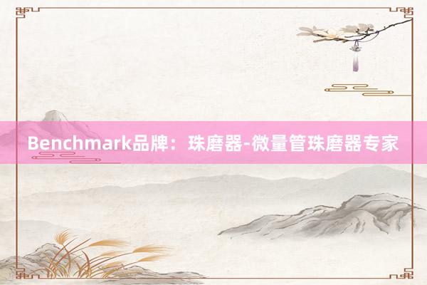 Benchmark品牌：珠磨器-微量管珠磨器专家